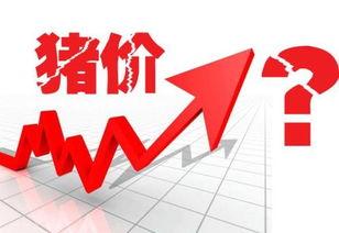 猪价最新爆料新闻网站,最新爆料揭示市场动态与养殖户困境 第3张 猪价最新爆料新闻网站,最新爆料揭示市场动态与养殖户困境 第3张