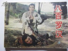 八百罗汉在线观看,揭秘神秘佛教传奇，在线观看带你领略千年智慧  第2张